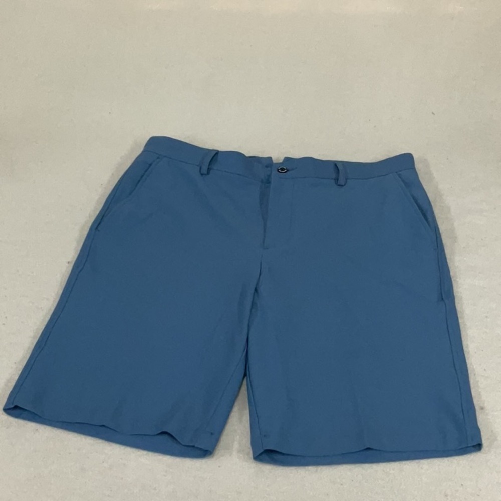 EUC Mens DUNNING shorts